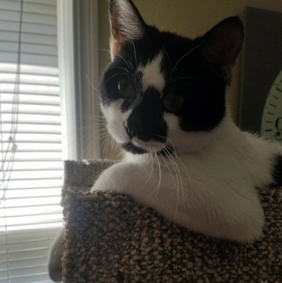 Meet your seller 🌻☘ - Picture 5 of 7